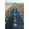 Agriculture de film de serre en plastique de tunnel la plus vendue